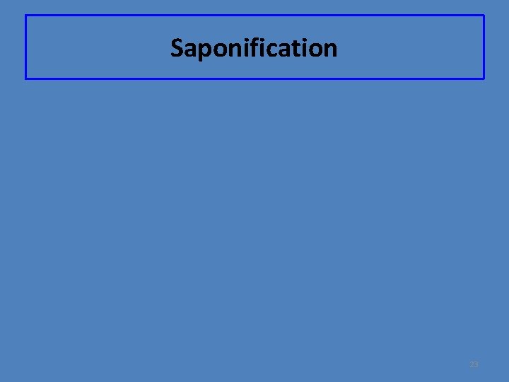 Saponification 23 