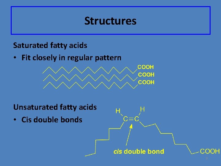 Structures Saturated fatty acids • Fit closely in regular pattern Unsaturated fatty acids •