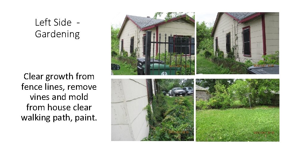 Left Side Gardening Clear growth from fence lines, remove vines and mold from house