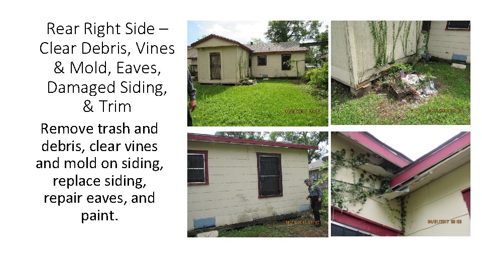 Rear Right Side – Clear Debris, Vines & Mold, Eaves, Damaged Siding, & Trim