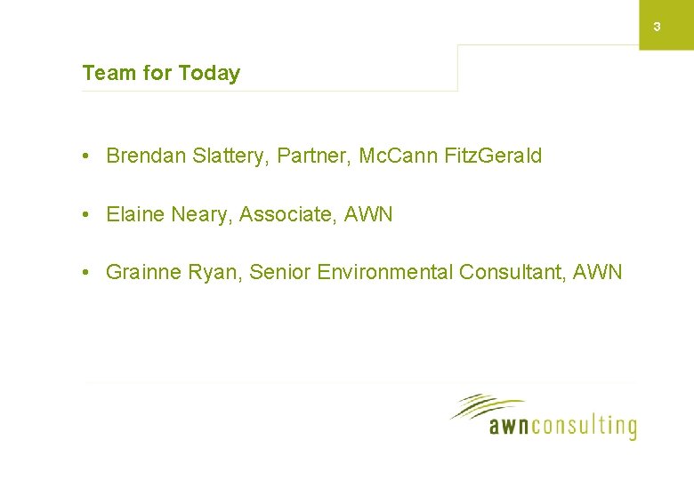 3 Team for Today • Brendan Slattery, Partner, Mc. Cann Fitz. Gerald • Elaine