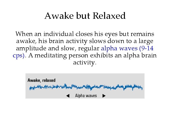 Awake but Relaxed When an individual closes his eyes but remains awake, his brain