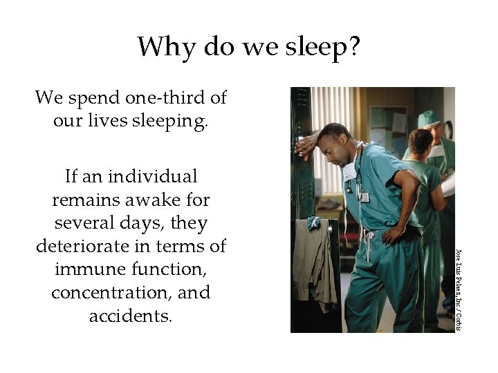 Why do we sleep? We spend one-third of our lives sleeping. Jose Luis Pelaez,