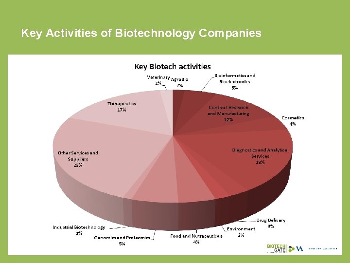 Key Activities of Biotechnology Companies 