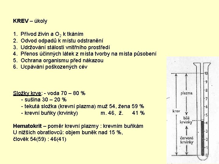 KREV – úkoly 1. Přívod živin a O 2 k tkáním 2. Odvod odpadů