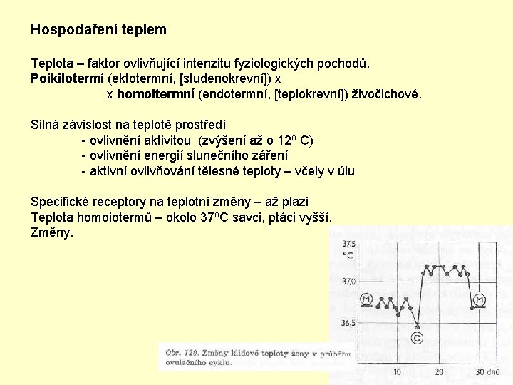 Hospodaření teplem Teplota – faktor ovlivňující intenzitu fyziologických pochodů. Poikilotermí (ektotermní, [studenokrevní]) x x