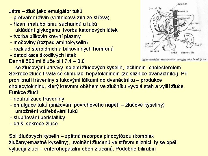 Játra – žluč jako emulgátor tuků - přetváření živin (vrátnicová žíla ze střeva) -