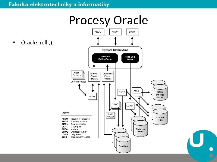 Procesy Oracle • Oracle hell ; ) 