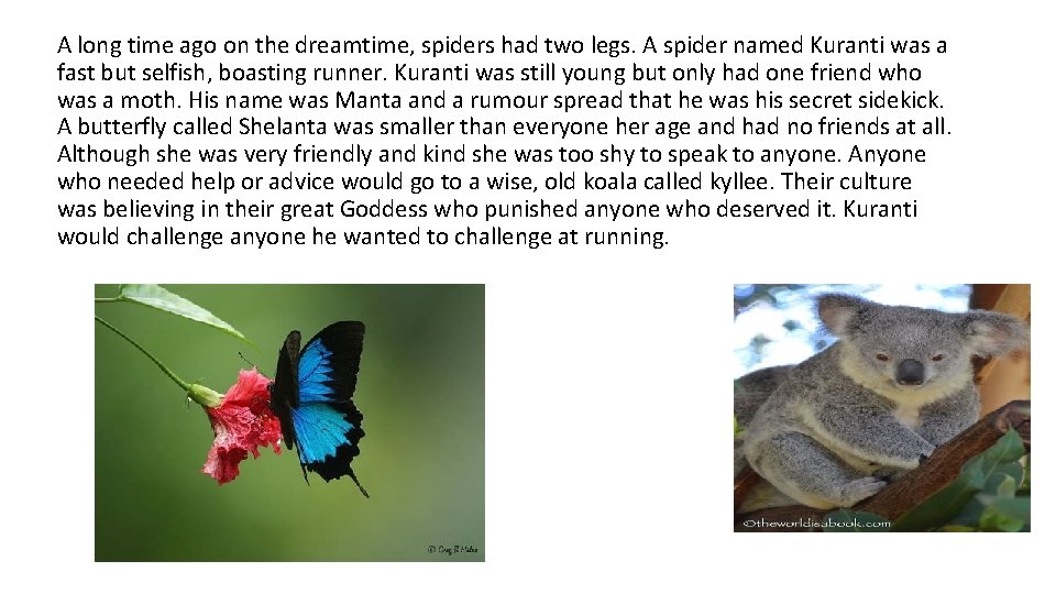 A long time ago on the dreamtime, spiders had two legs. A spider named