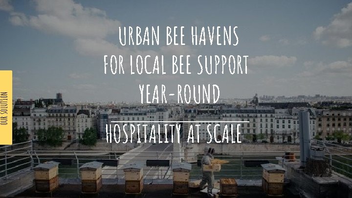 OUR SOLUTION URBAN BEE HAVENS FOR LOCAL BEE SUPPORT YEAR-ROUND HOSPITALITY AT SCALE 
