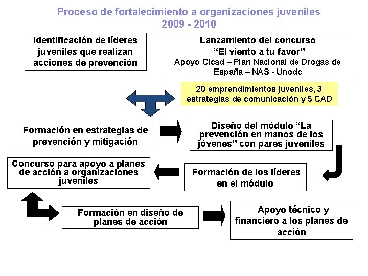 Proceso de fortalecimiento a organizaciones juveniles 2009 - 2010 Identificación de líderes juveniles que