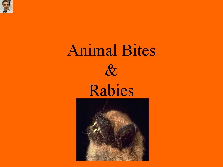 Animal Bites & Rabies 