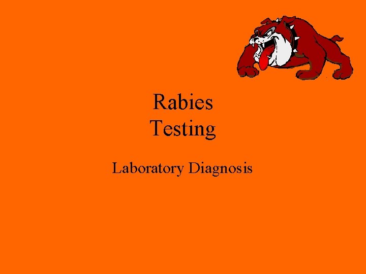 Rabies Testing Laboratory Diagnosis 