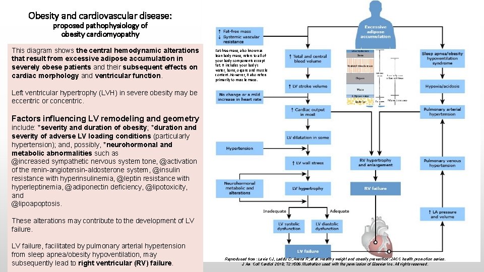 Obesity and cardiovascular disease: proposed pathophysiology of obesity cardiomyopathy This diagram shows the central