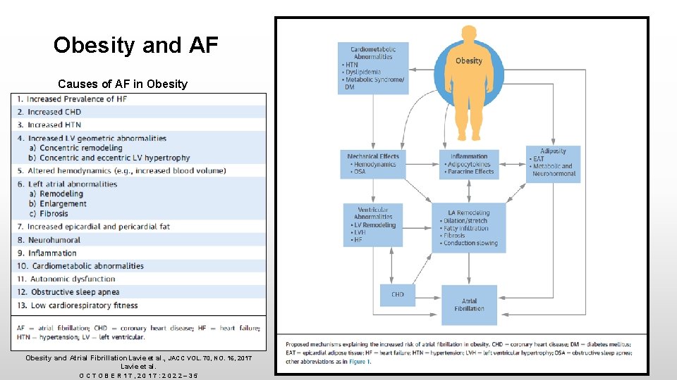 Obesity and AF Causes of AF in Obesity and Atrial Fibrillation. Lavie et al.