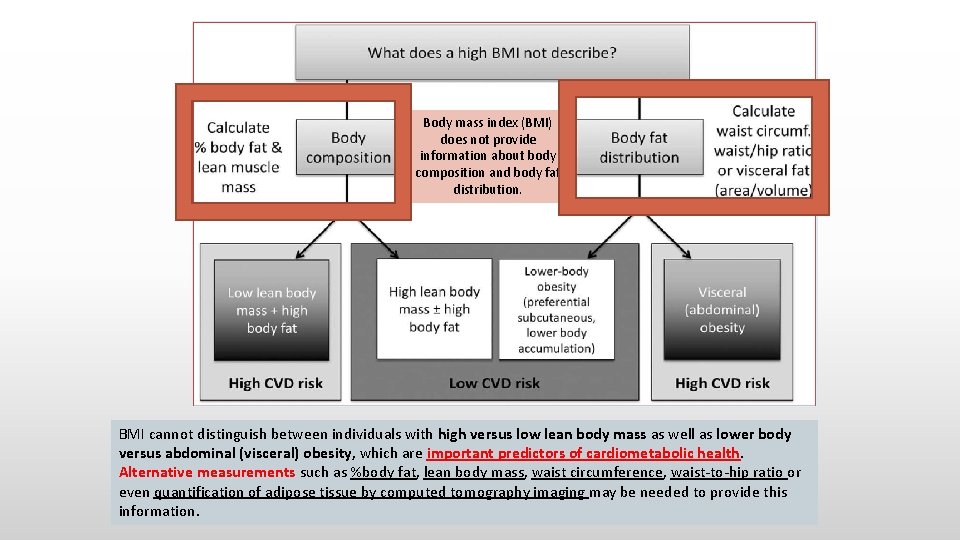 Body mass index (BMI) does not provide information about body composition and body fat