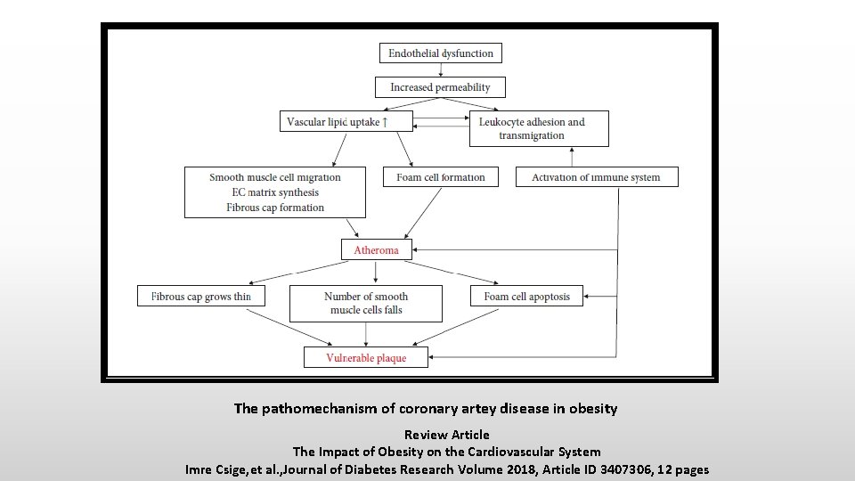 The pathomechanism of coronary artey disease in obesity Review Article The Impact of Obesity