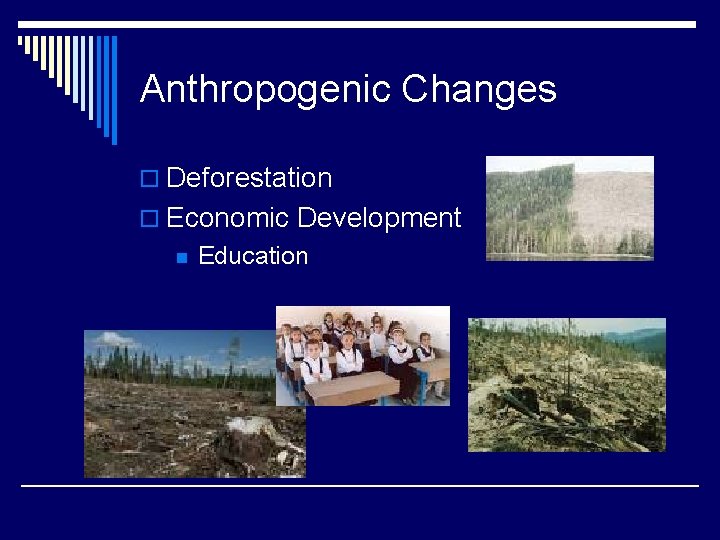 Anthropogenic Changes o Deforestation o Economic Development n Education 