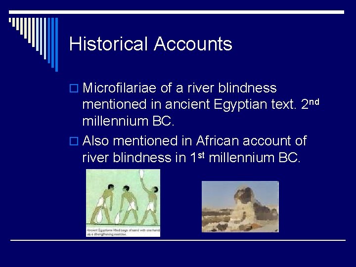 Historical Accounts o Microfilariae of a river blindness mentioned in ancient Egyptian text. 2