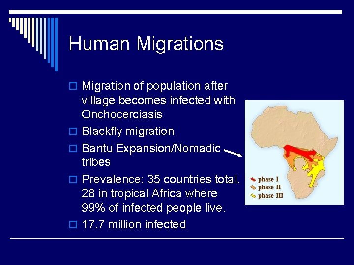 Human Migrations o Migration of population after o o village becomes infected with Onchocerciasis