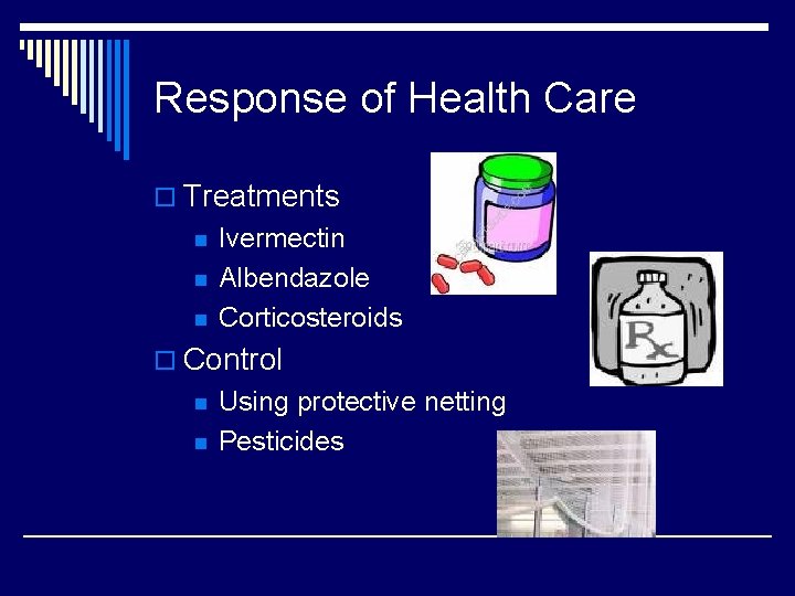 Response of Health Care o Treatments n n n Ivermectin Albendazole Corticosteroids o Control