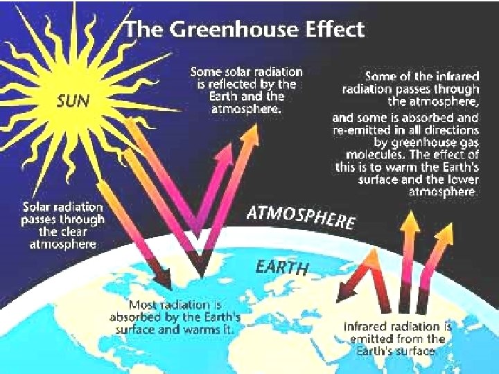 Global Warming 