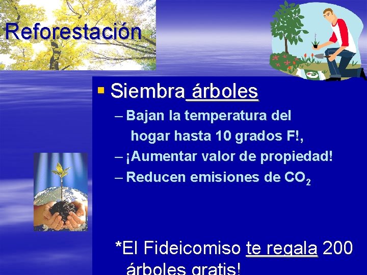 Reforestación § Siembra árboles – Bajan la temperatura del hogar hasta 10 grados F!,