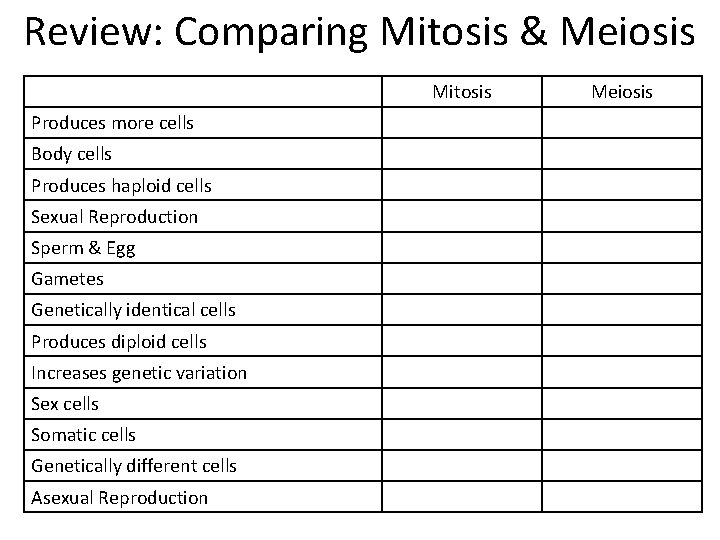 Review: Comparing Mitosis & Meiosis Mitosis Produces more cells Body cells Produces haploid cells