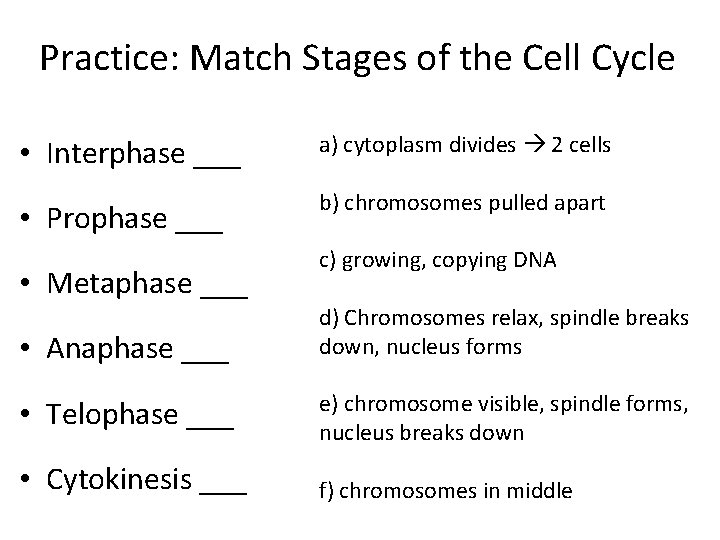 Practice: Match Stages of the Cell Cycle • Interphase ___ a) cytoplasm divides 2