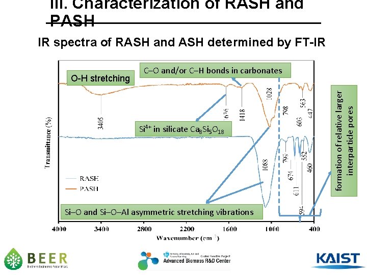 III. Characterization of RASH and PASH IR spectra of RASH and ASH determined by