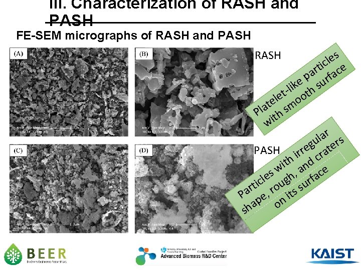 III. Characterization of RASH and PASH FE-SEM micrographs of RASH and PASH RASH s