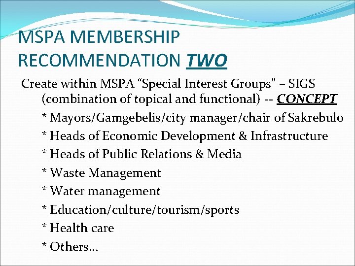 MSPA MEMBERSHIP RECOMMENDATION TWO Create within MSPA “Special Interest Groups” – SIGS (combination of
