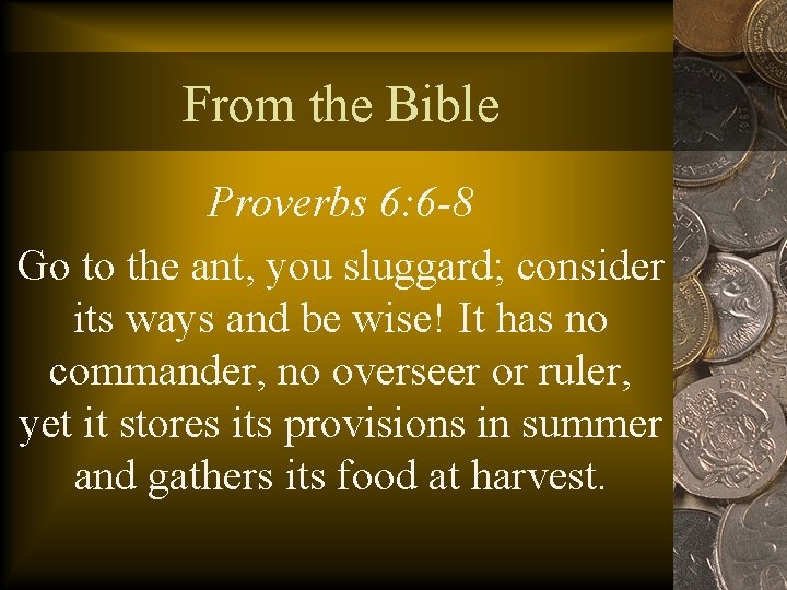 From the Bible Proverbs 6: 6 -8 Go to the ant, you sluggard; consider