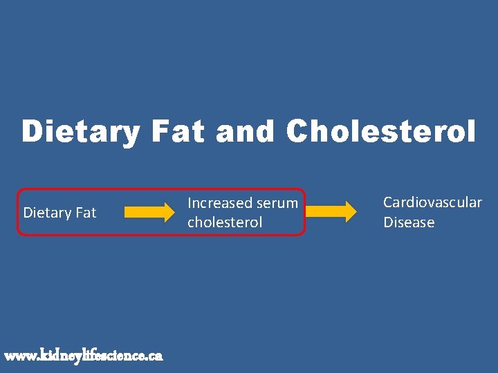 Dietary Fat and Cholesterol Dietary Fat www. kidneylifescience. ca Increased serum cholesterol Cardiovascular Disease