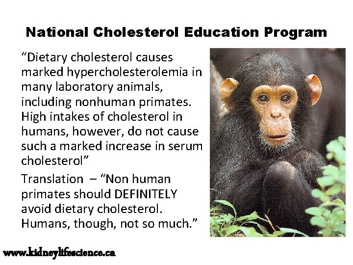 National Cholesterol Education Program “Dietary cholesterol causes marked hypercholesterolemia in many laboratory animals, including