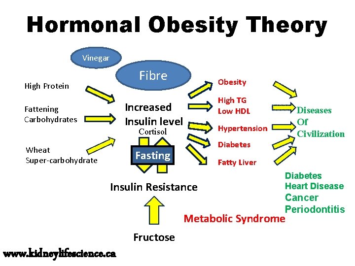 Hormonal Obesity Theory Vinegar Fibre High Protein Obesity High TG Low HDL Increased Insulin