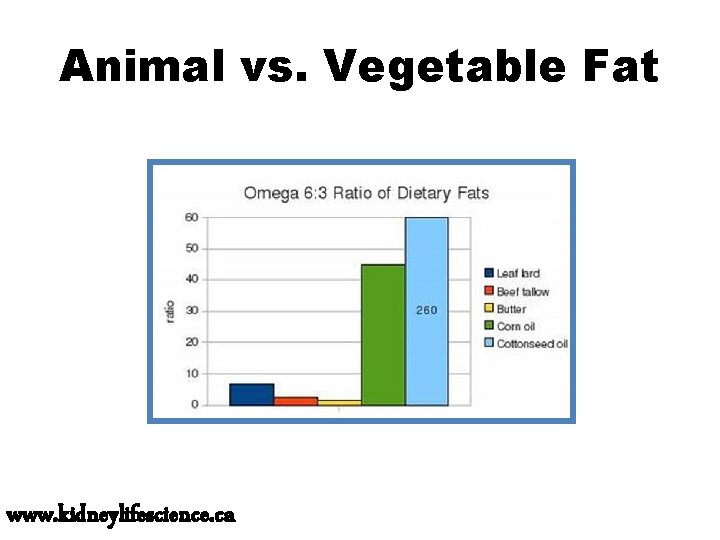 Animal vs. Vegetable Fat www. kidneylifescience. ca 