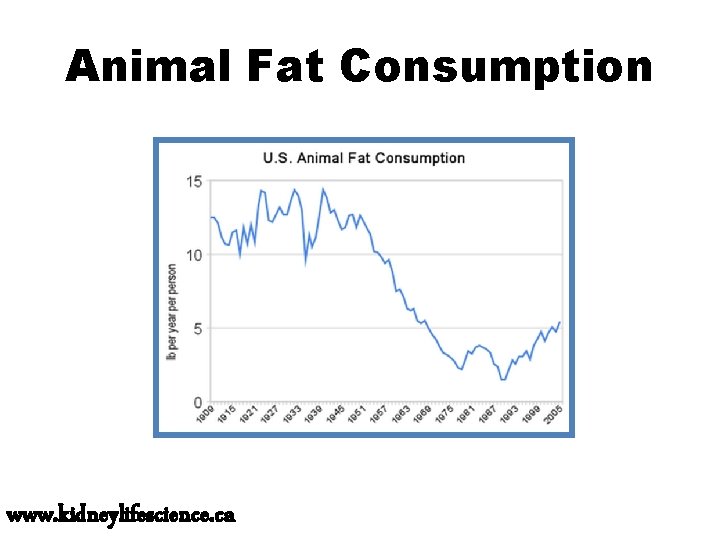 Animal Fat Consumption www. kidneylifescience. ca 