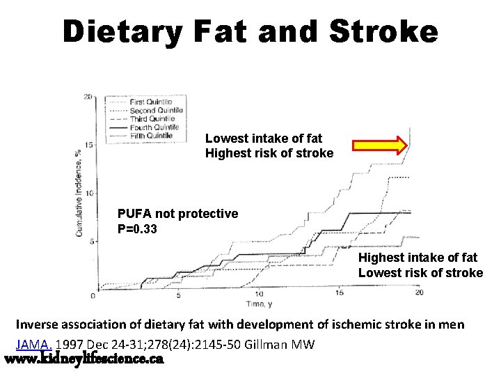 Dietary Fat and Stroke Lowest intake of fat Highest risk of stroke PUFA not