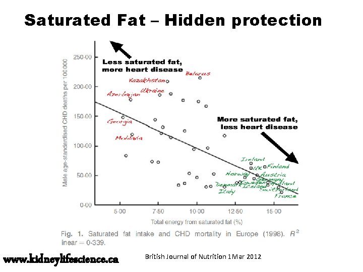 Saturated Fat – Hidden protection www. kidneylifescience. ca British Journal of Nutrition 1 Mar