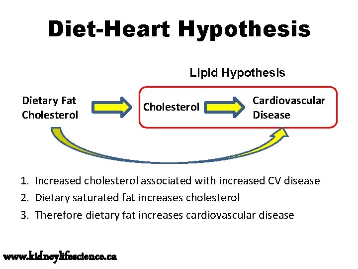 Diet-Heart Hypothesis Lipid Hypothesis Dietary Fat Cholesterol Cardiovascular Disease 1. Increased cholesterol associated with