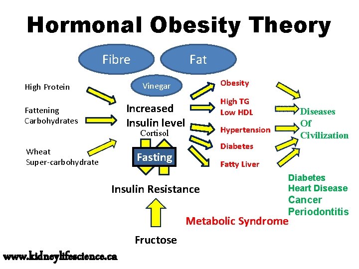 Hormonal Obesity Theory Fibre Fat Obesity Vinegar High Protein High TG Low HDL Increased