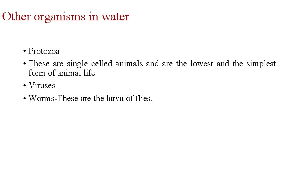 Other organisms in water • Protozoa • These are single celled animals and are