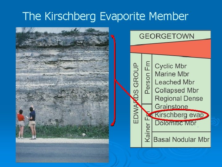 The Kirschberg Evaporite Member 