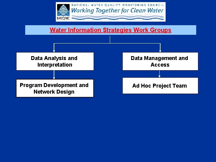 Water Information Strategies Work Groups Data Analysis and Interpretation Data Management and Access Program