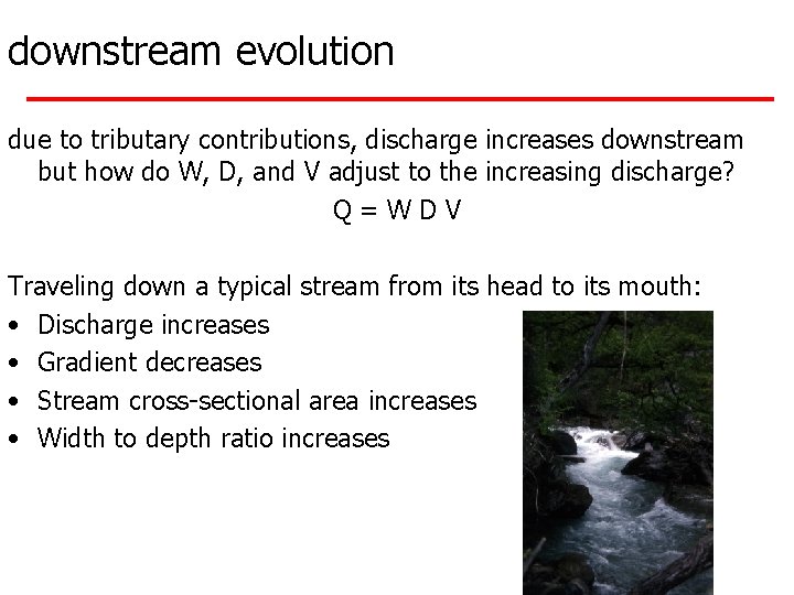 downstream evolution due to tributary contributions, discharge increases downstream but how do W, D,