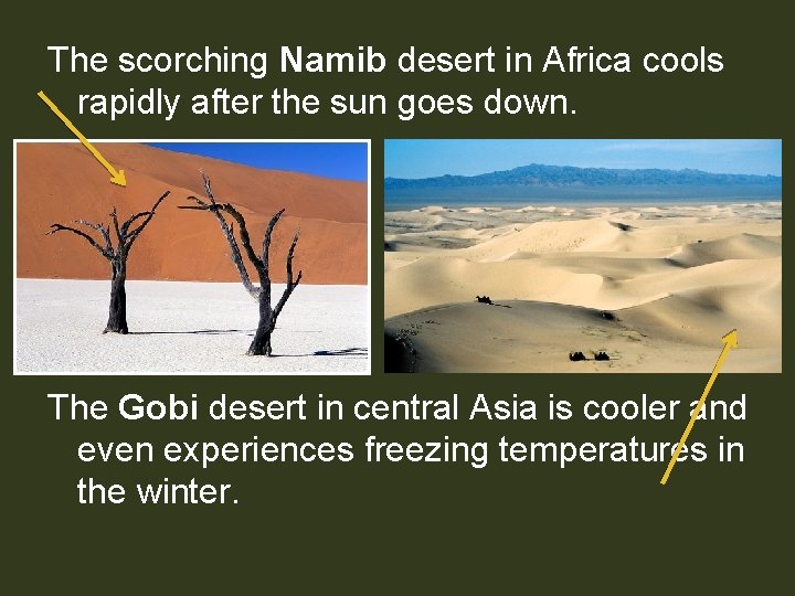 The scorching Namib desert in Africa cools rapidly after the sun goes down. The