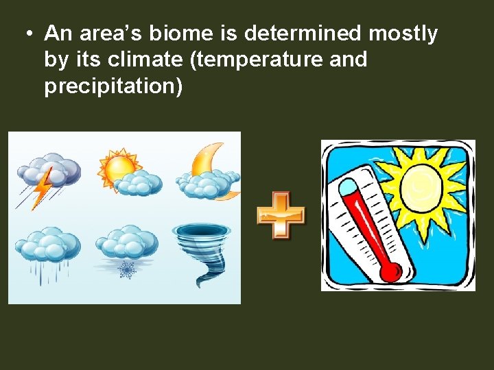  • An area’s biome is determined mostly by its climate (temperature and precipitation)
