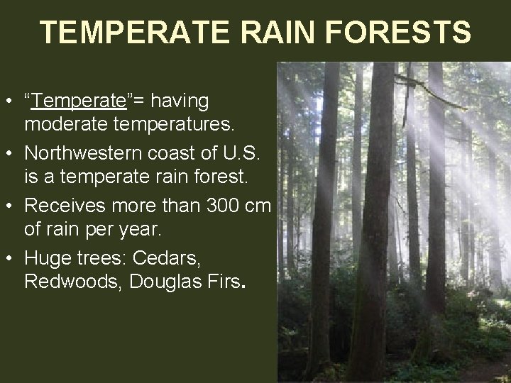 TEMPERATE RAIN FORESTS • “Temperate”= having moderate temperatures. • Northwestern coast of U. S.