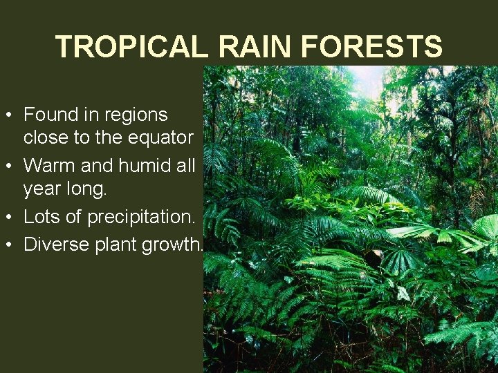 TROPICAL RAIN FORESTS • Found in regions close to the equator • Warm and